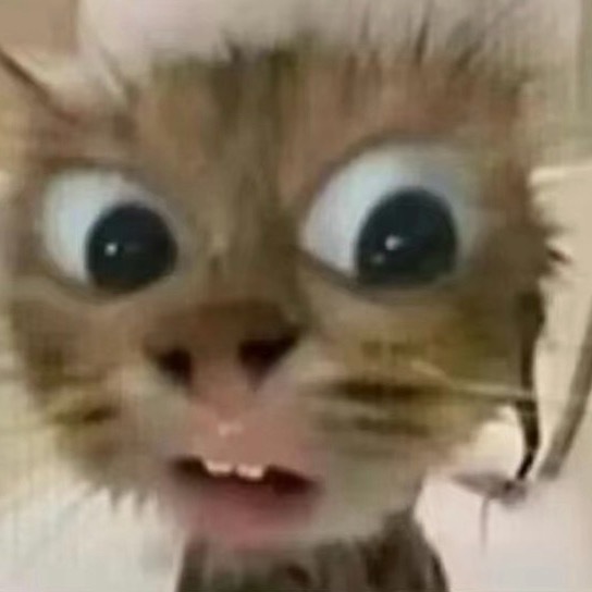 怪不得这次伴手礼放座位上 也没人想多拿吧 