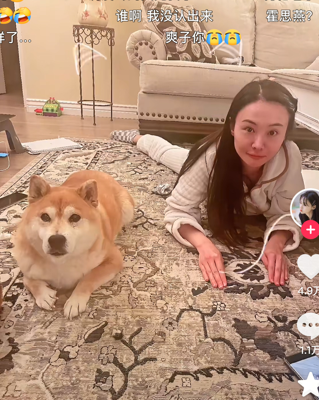 爽子的狗是侯明昊的狗的妈妈 两只狗长得差不多 