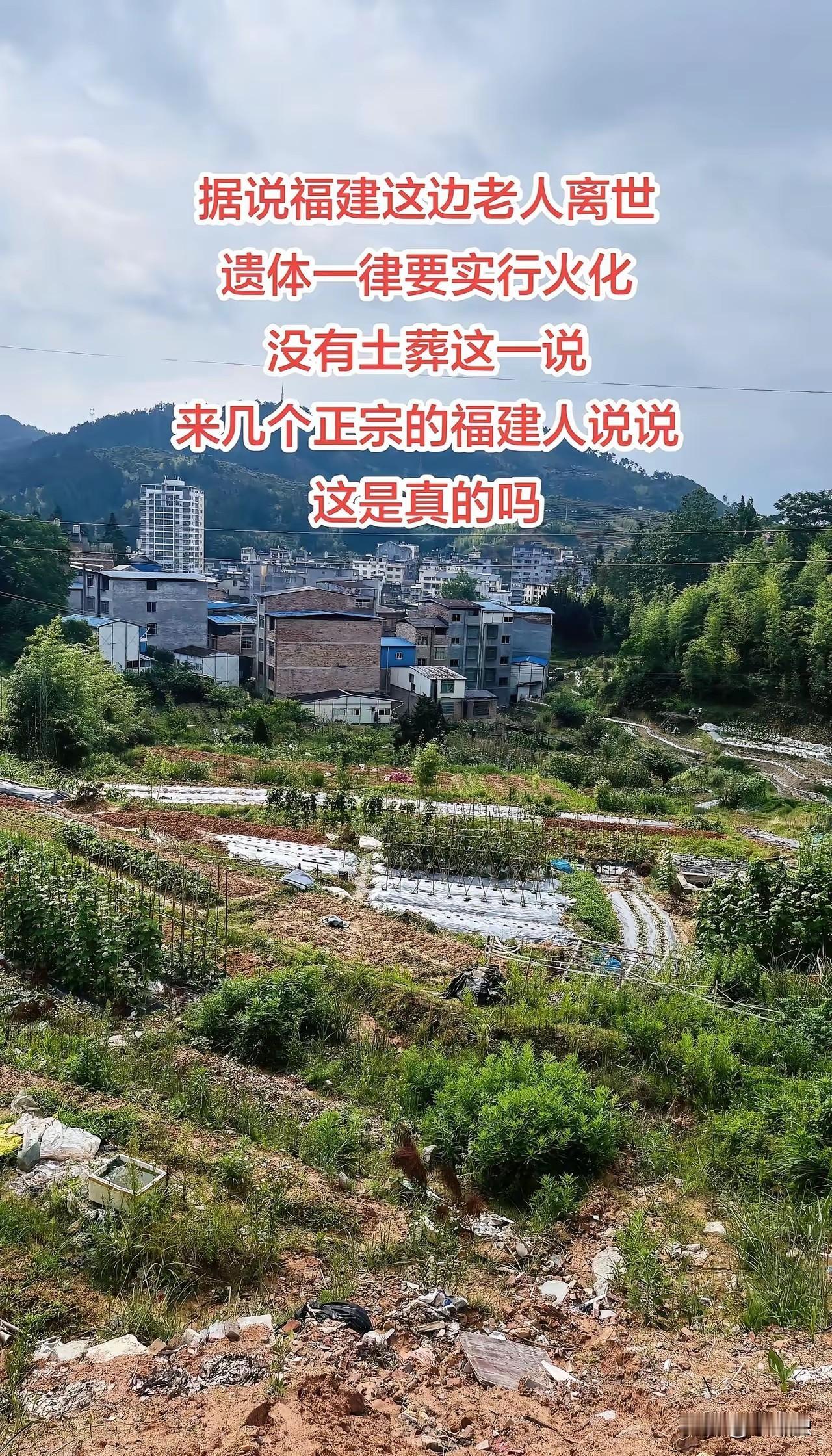 福建不止森林覆盖率全国第一。
火葬也是所有山区省份第一。
火葬几十年，同是山区省