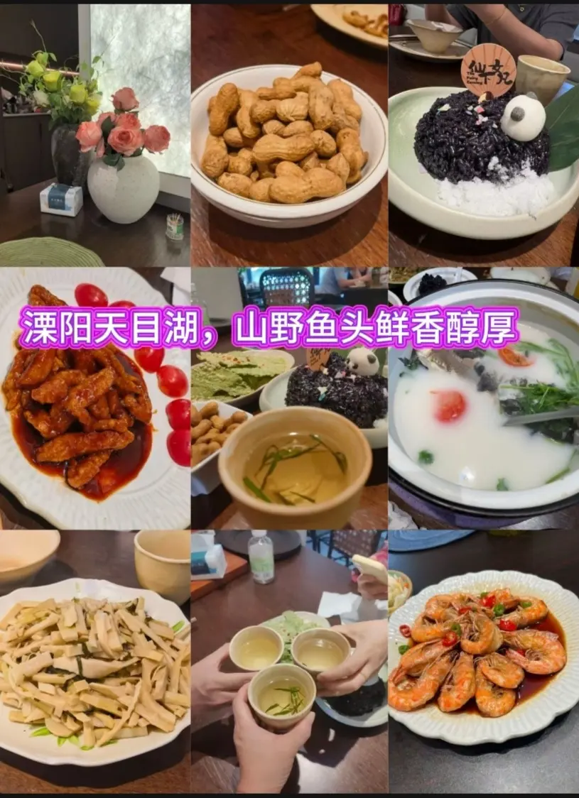 逛溧阳天目湖，午餐可以试试渔福记。上午游览溧阳天目湖山水景区，中午就近...