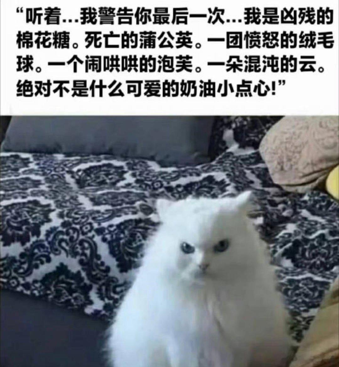 作为一个群射手，很多时候看白羊座生气觉得好有趣，所以偶尔也喜欢故意逗弄白羊，比如