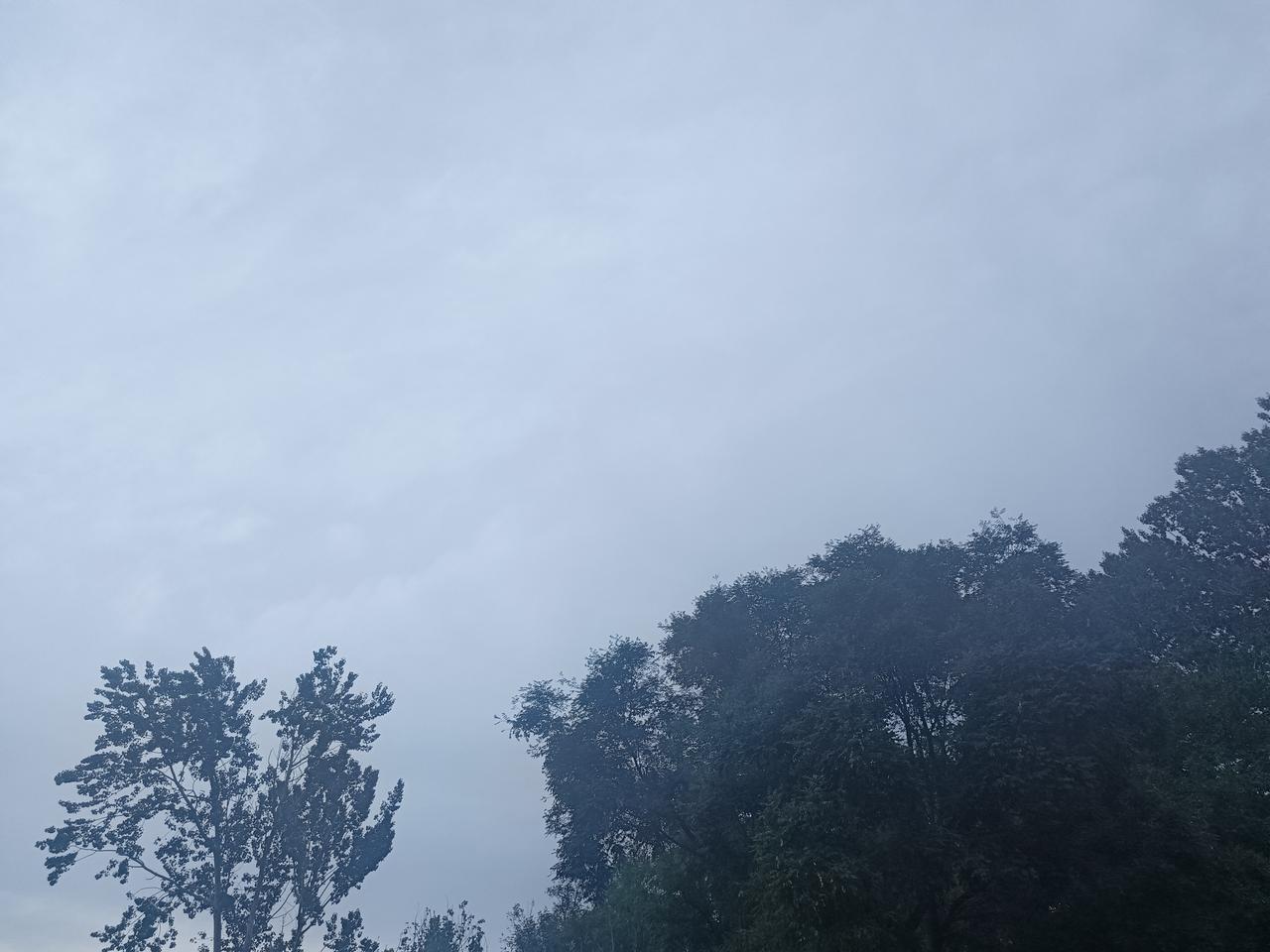 今天天气阴着，却挡不住忙忙碌碌的生活步伐。
活着，能干活就是幸福。