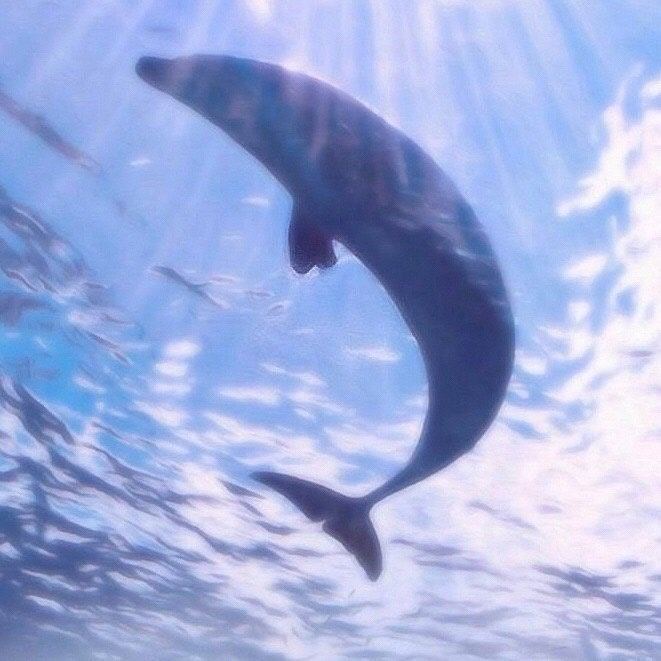 明日，翻身得到想要的结果 