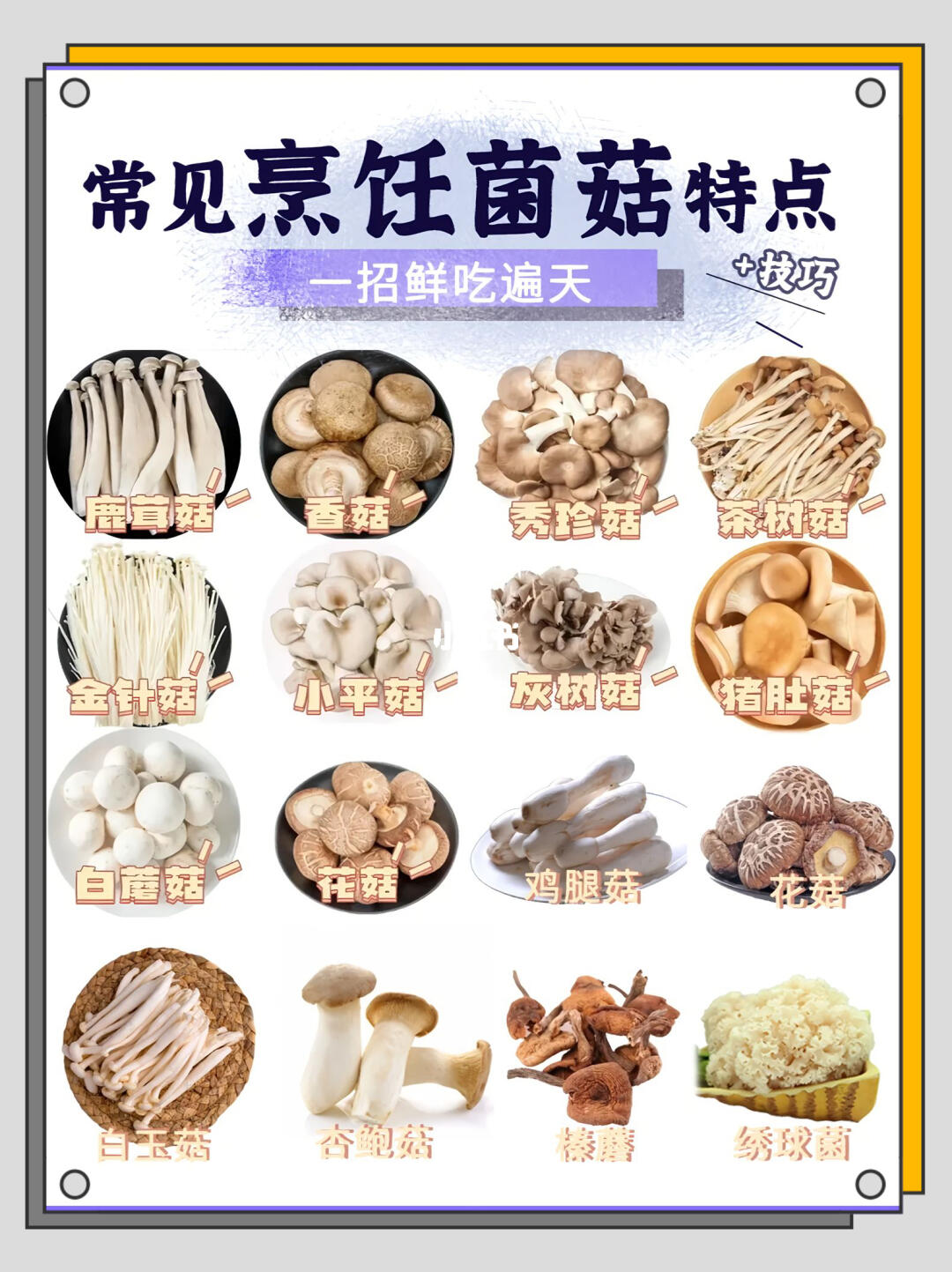 菌菇烹饪秘籍 | 解锁鲜美的N种可能✨