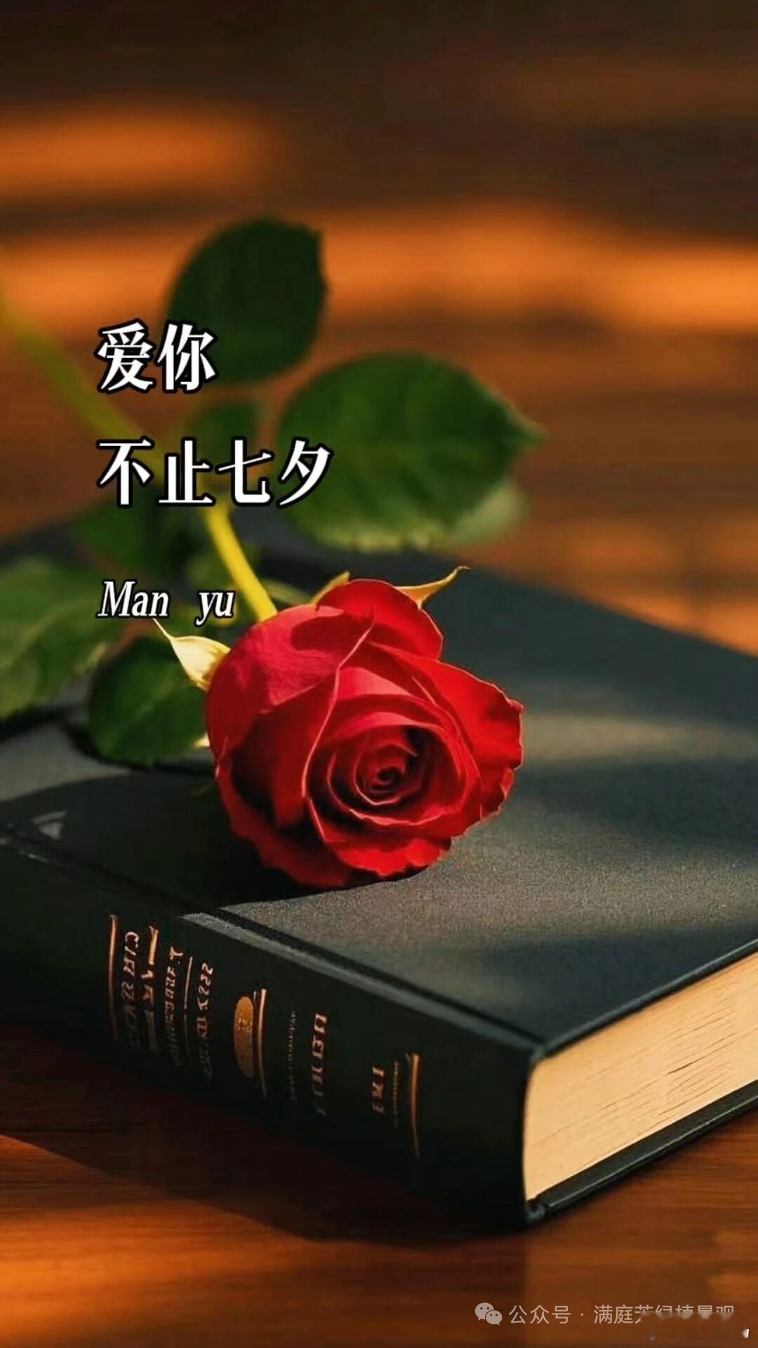 在我看来，在自己周围播种幸福的最好、最可靠的方法就是现身说法，亲自提供幸福的形象