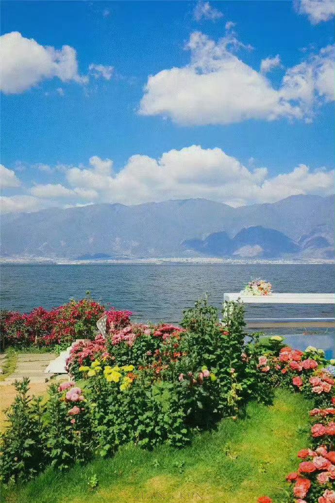 春暖花开季，好想再去大理转一转，看一看！ 