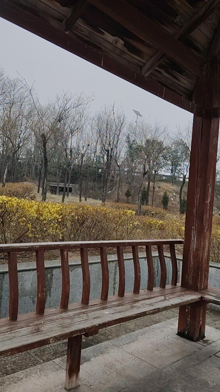 “小宋，这是你和啄木鸟见面的地方。”
“好，暗号是什么？”
“黄河远上白云间……