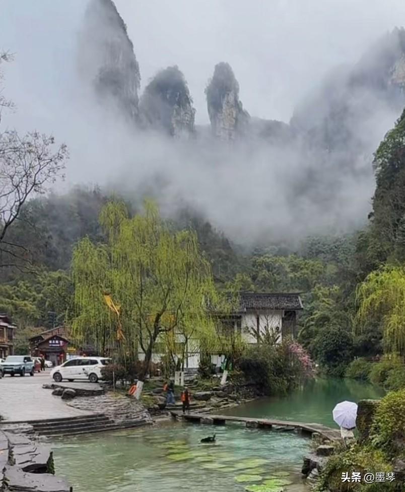 如果生命可以重来，谁又愿意浪费时间呢？

这些天圈子里阴郁沉沉的，文学圈里走了一