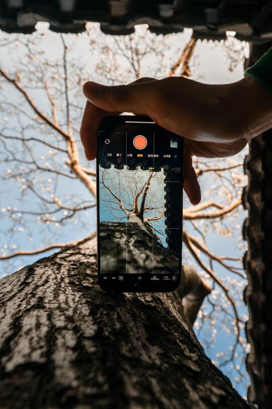 交换春天｜用这样构图拍春天的人绝对是天才！