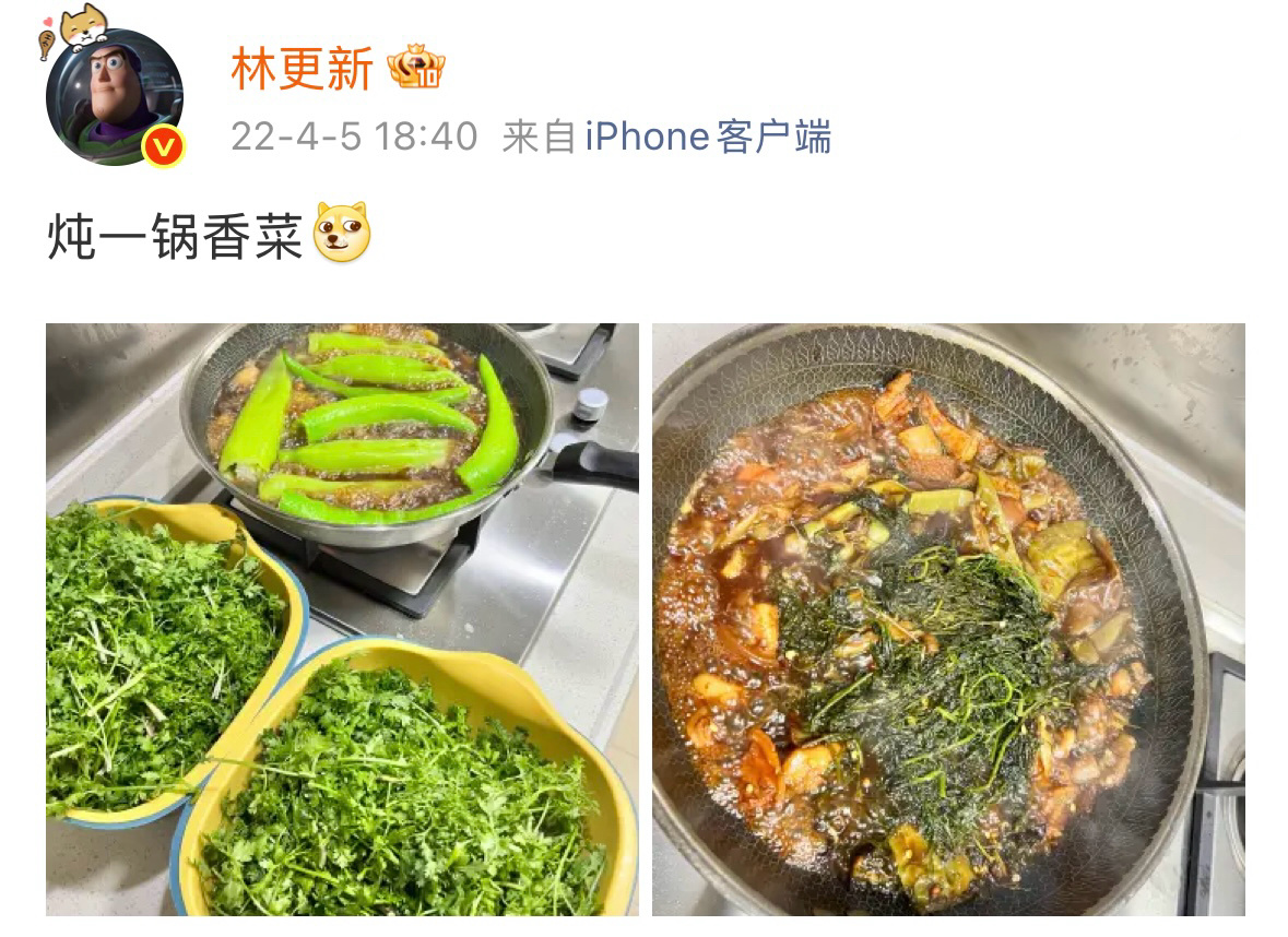 林更新从哪里开始是东北菜跟着林更新解锁锅包肉另类吃法，多款家常菜莫名归类东北菜。