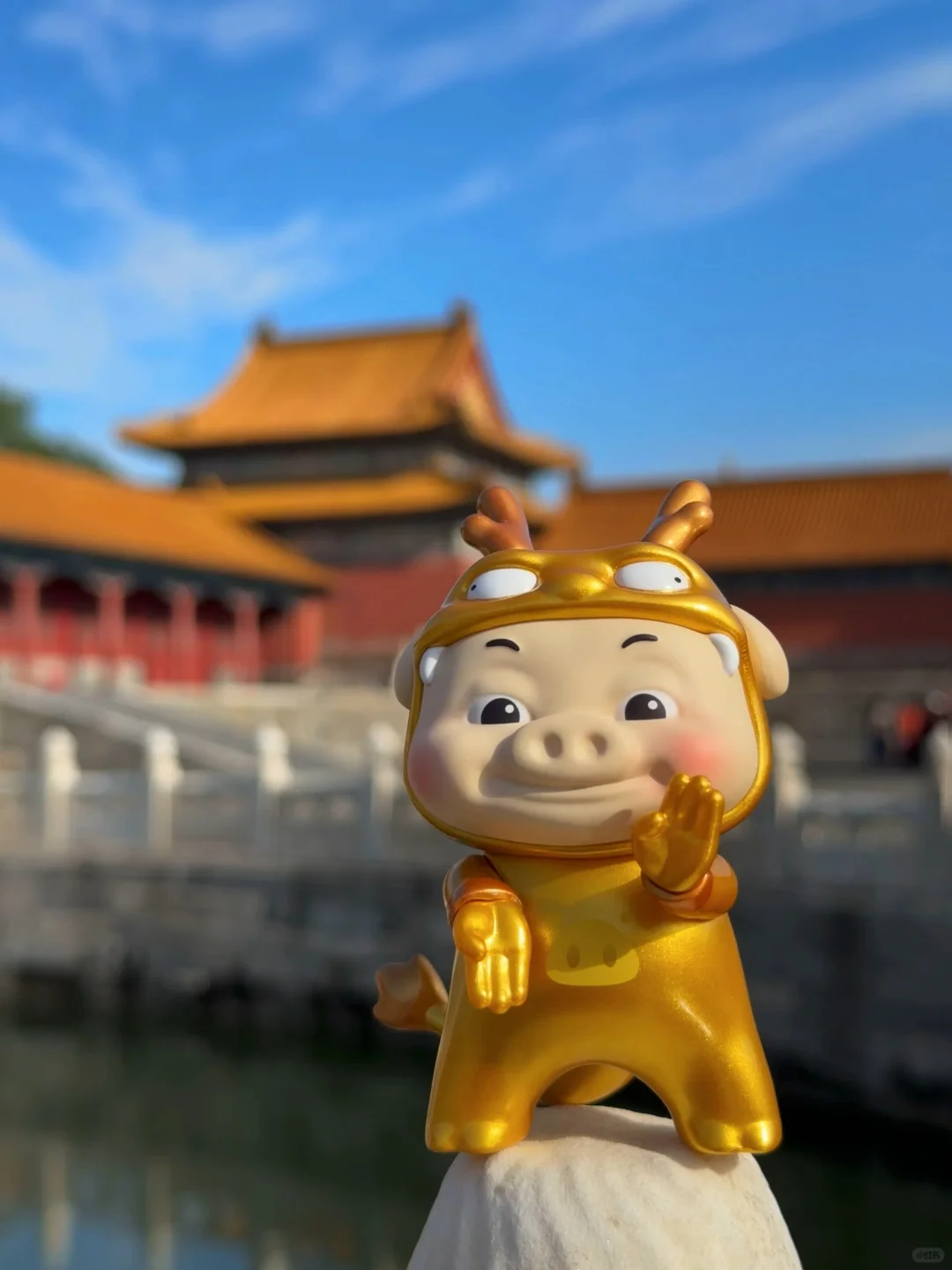 龙的传猪