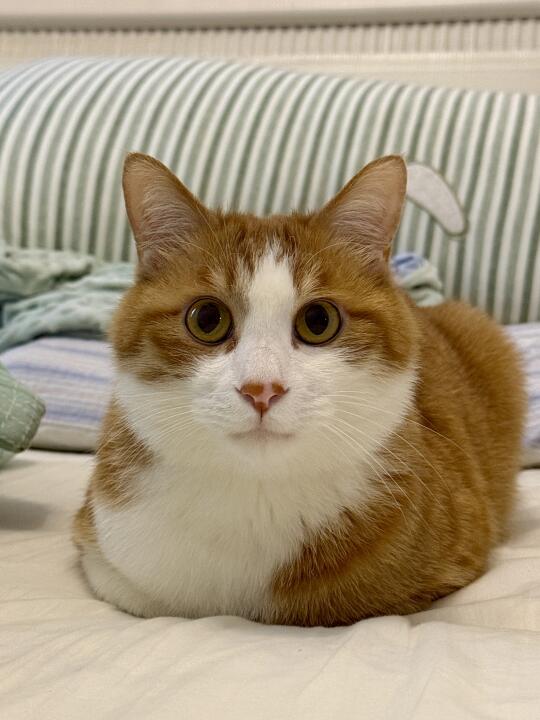 人，你有鼻纹吗