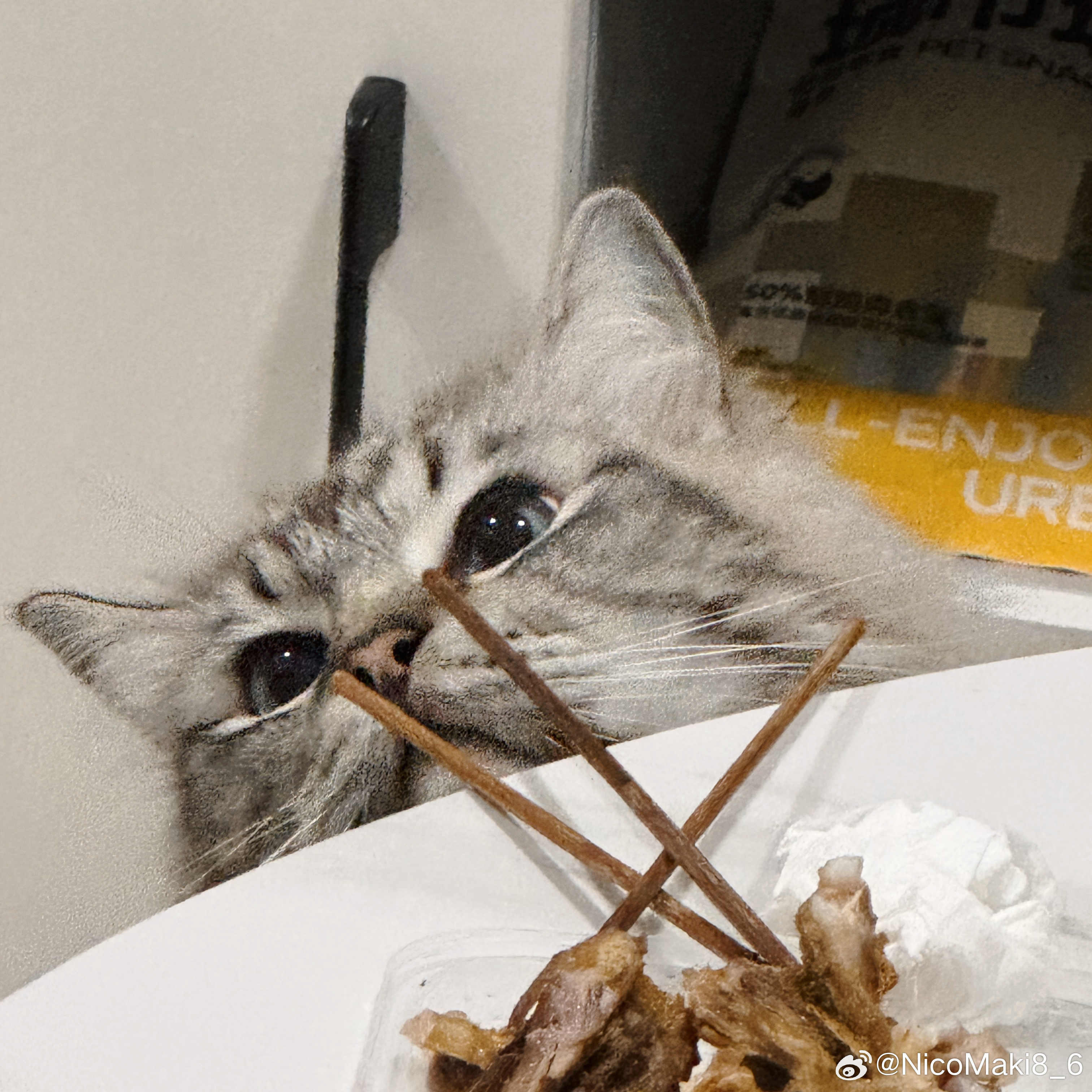 猫猫祟祟 佛山·樵北中学