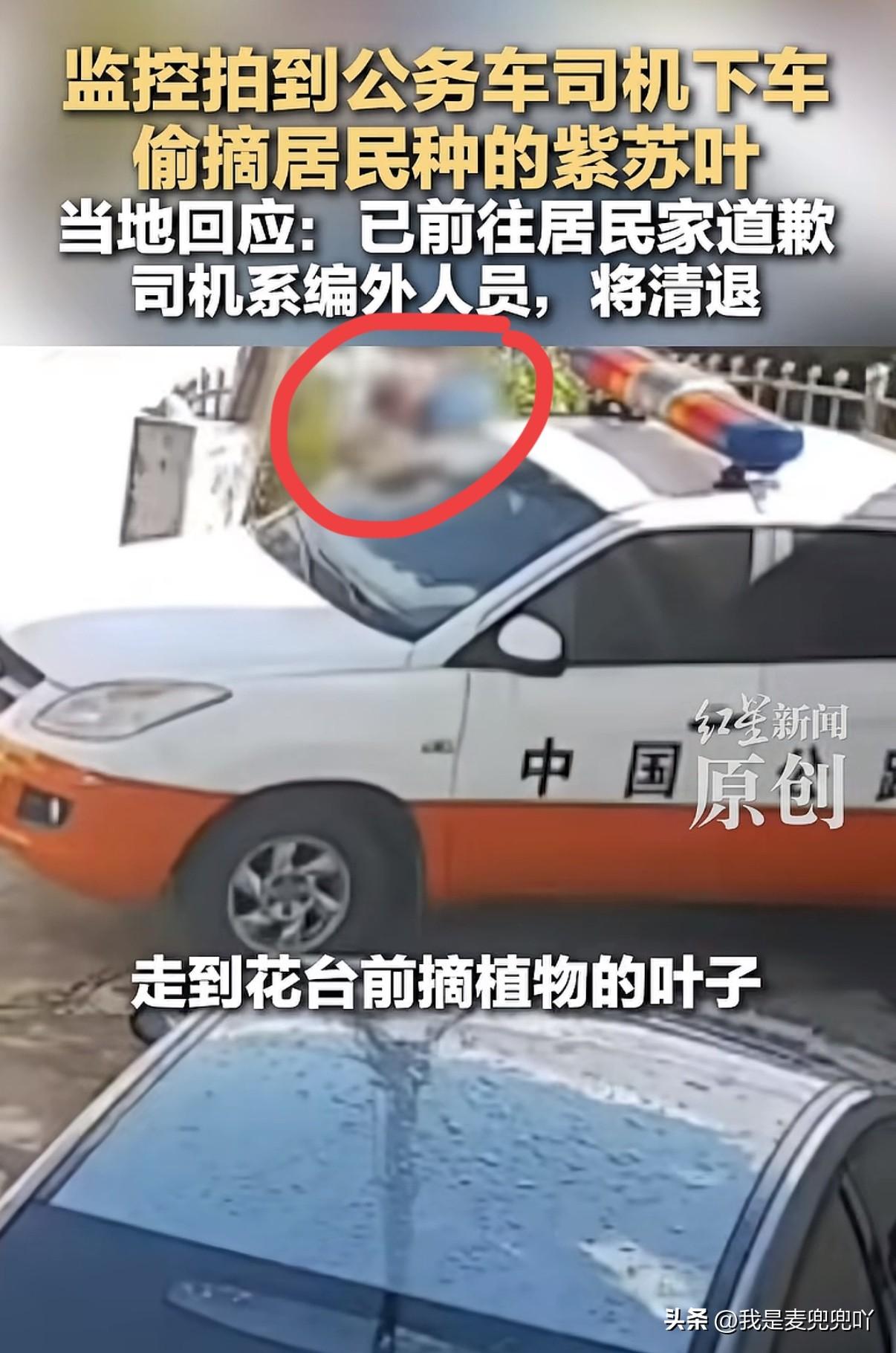 因开公车偷摘老百姓家门口种植的几片紫苏叶被开除，到底冤不冤？网友表示不拿群众一针