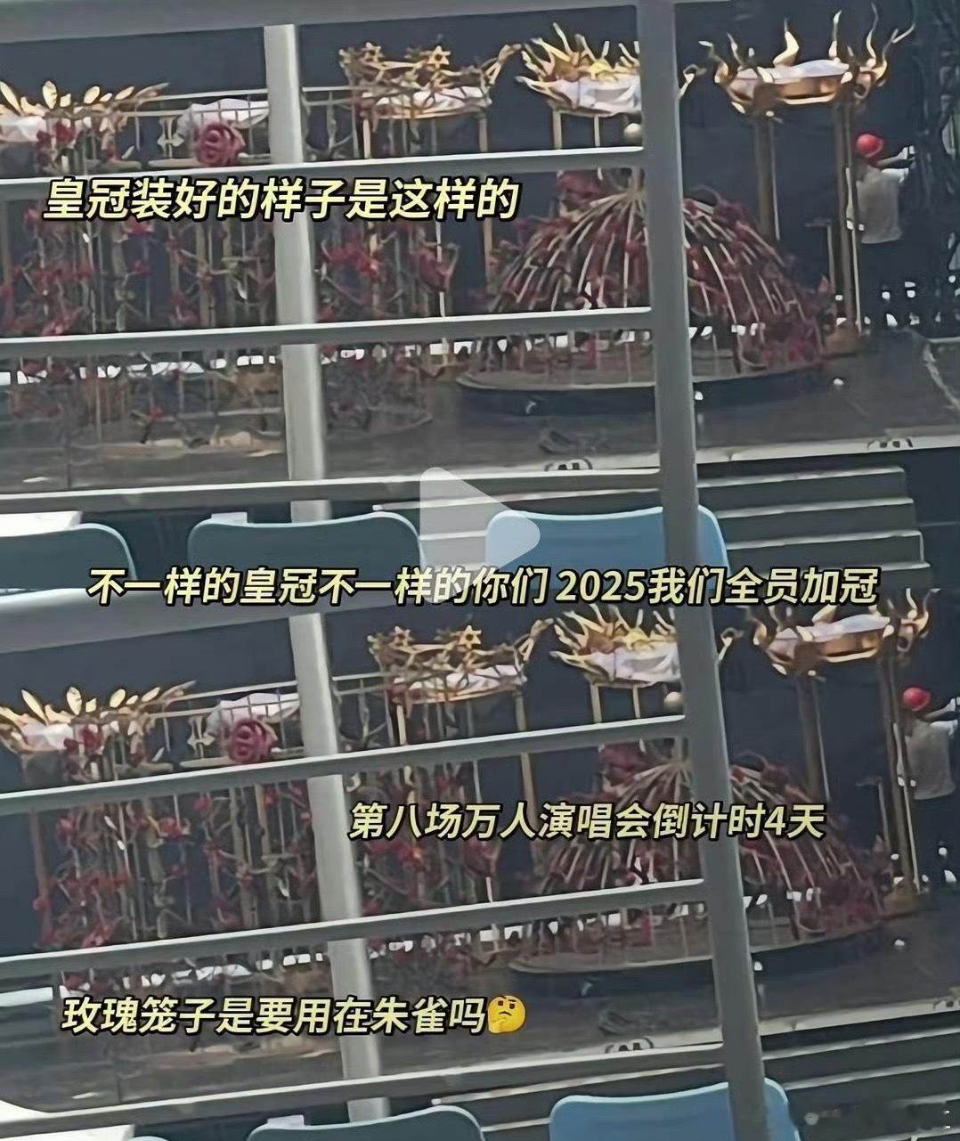 小炸真的要进笼子了我不可以了金丝雀变朱雀 ​​​