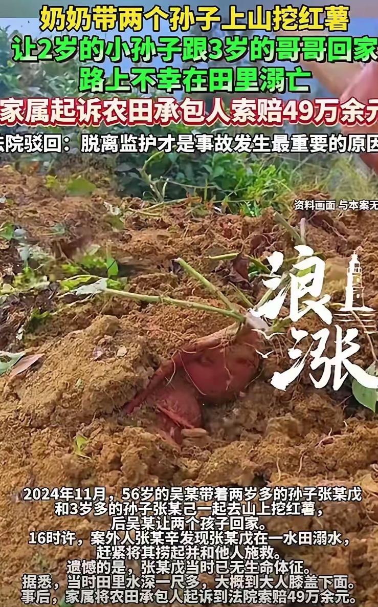 56岁大妈，带着2个孙子上山挖红薯，挖到一半让3岁的哥哥带2岁的弟弟回家，结果2