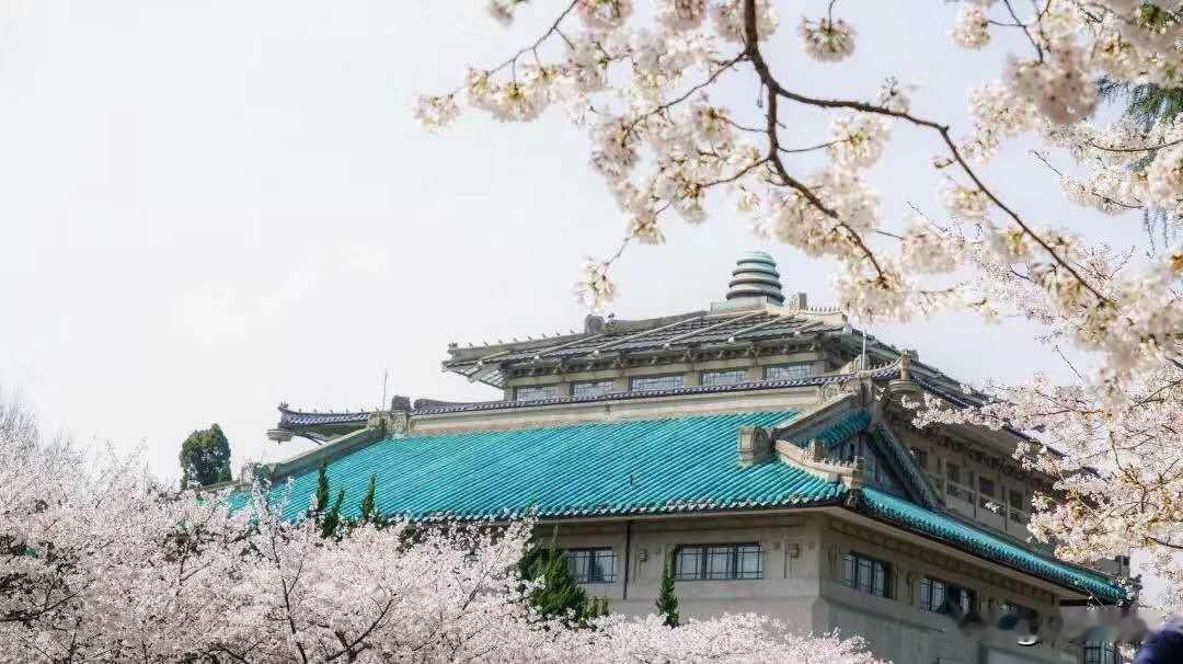 作为理科生，却想为文科说几句好话！
文科不重要了吗？错！文科非常重要！

它是文