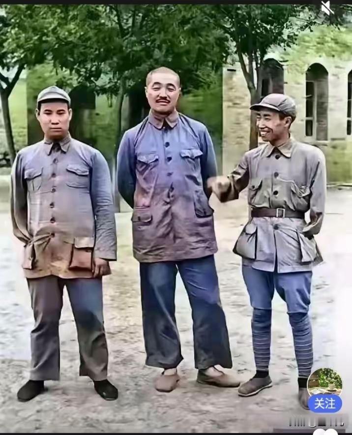 认出一个算你强，全部认识的更是大佬级别了