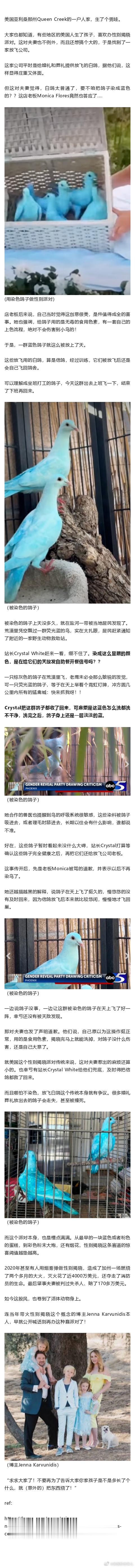 官宣生了男孩，把染色的鸽子放上天。动物救助站看傻了：给老鹰发自助餐？？？ 