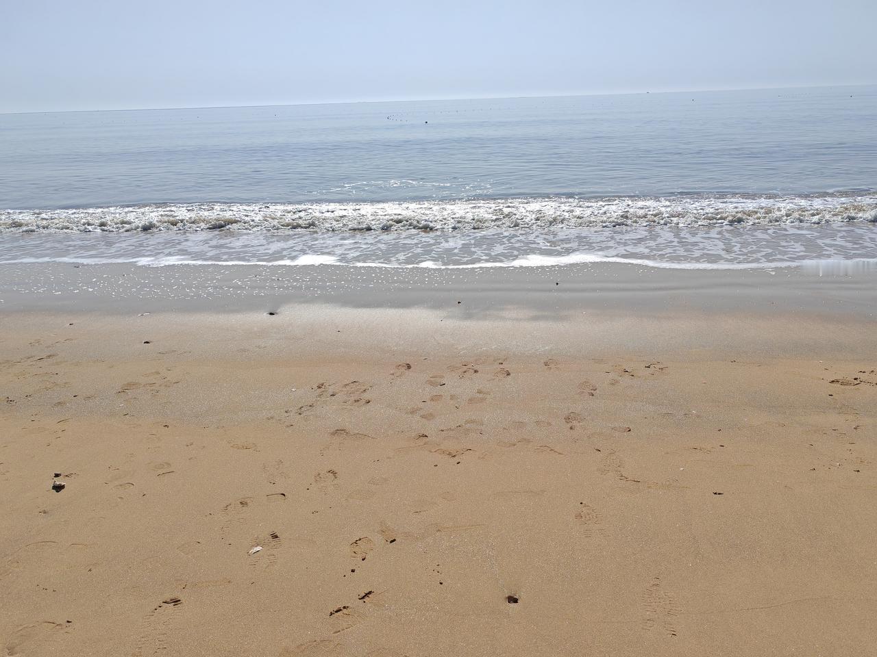 生活中，不少同事、朋友羡慕我退休，而我自从退休后，好像彻底过上了躺平的生活。
