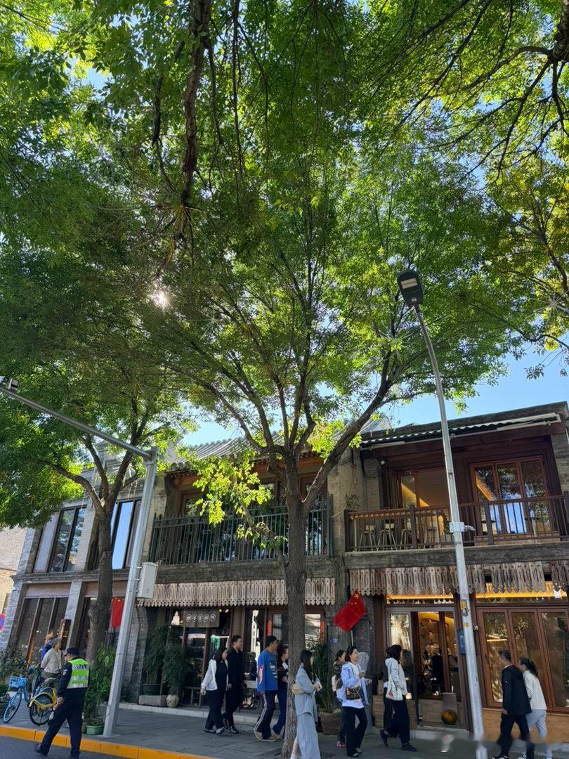 天气好新晋网红街道就在家楼下，溜达一圈呗[嘻嘻]  ​​​