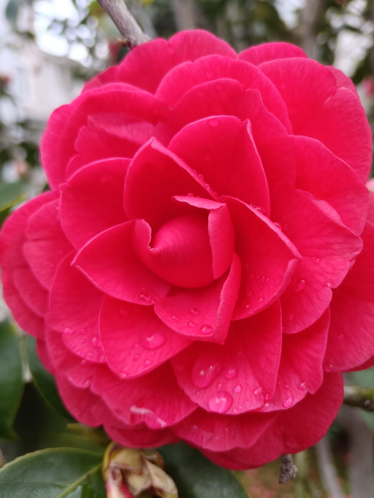 我在今日头条荣获《活动大玩家》称号，以为起点，传递一个爱。