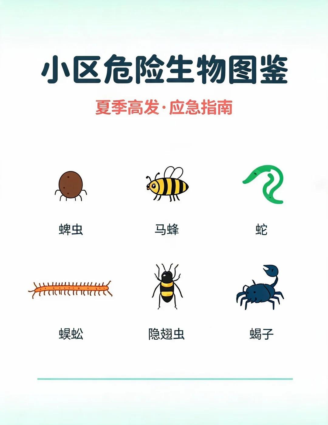 🐛 小区危险生物图鉴｜夏季必看应急指南