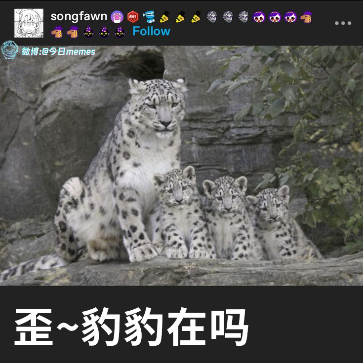 哈喽哇（9gag）哎呀