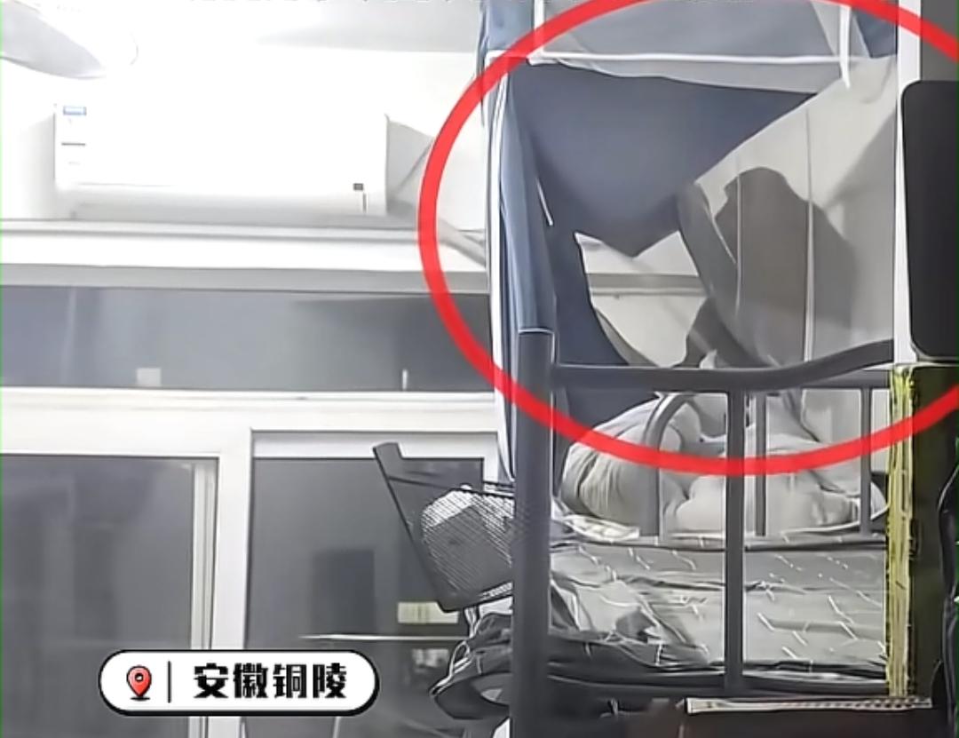 笑不活了！
猴子溜进大学宿舍偷零食，
学生：还以为是查寝的，
2025年12月2