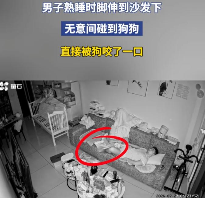 这也够倒霉的！福建，一男子在家里沙发上睡觉，睡得正香时就把脚伸到沙发下面，无意间
