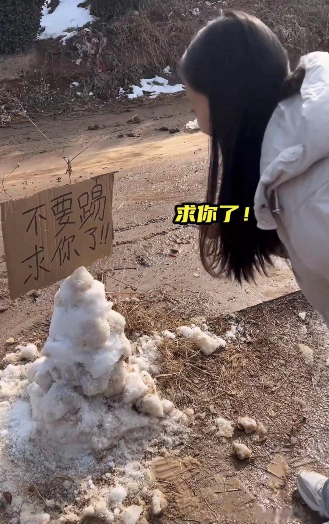 有本事站起来再踢一次，求你了…[二哈] #大v聊车# ​​​