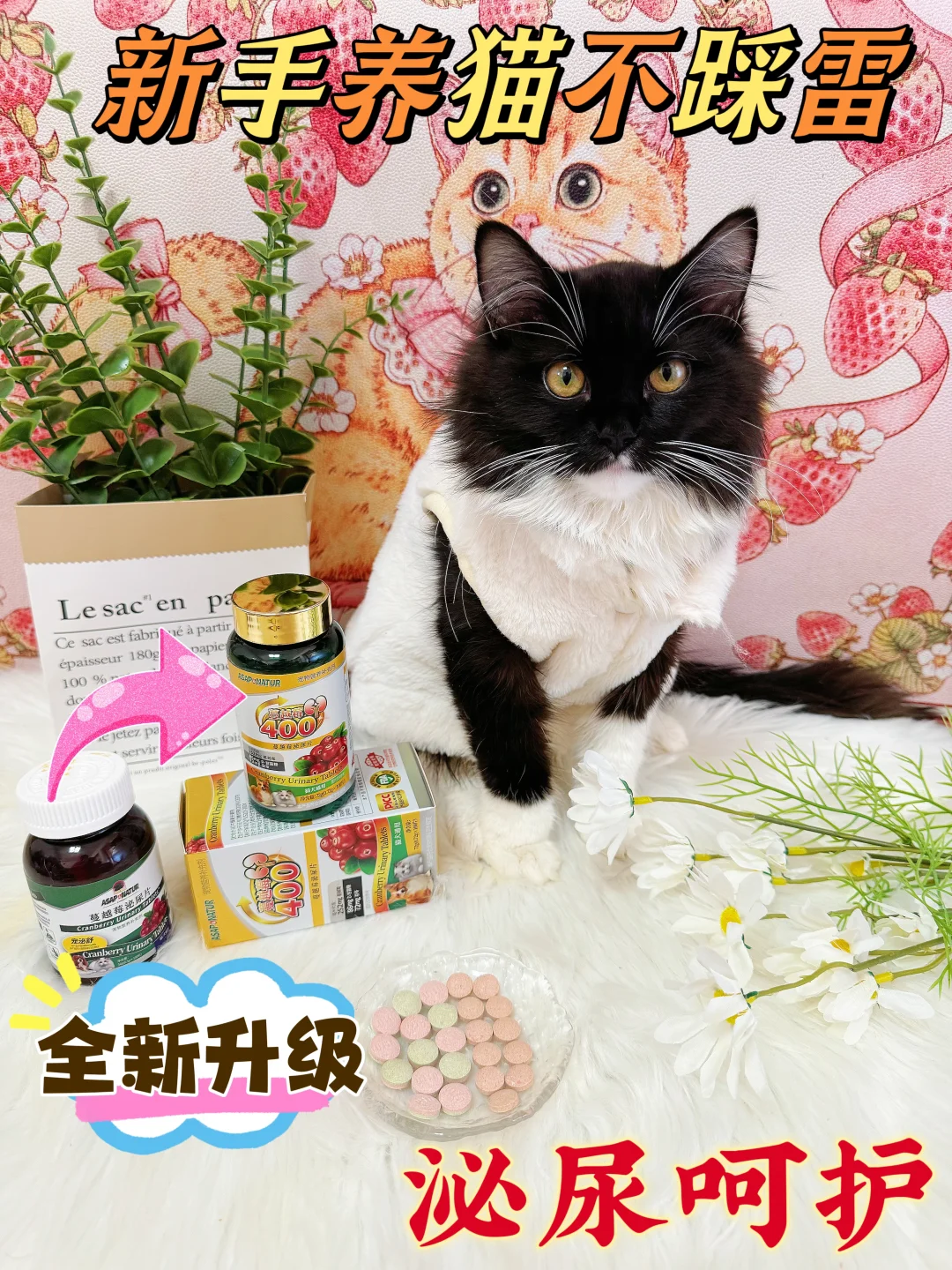 重磅升级‼️呵护猫咪泌尿系统它真的有一套