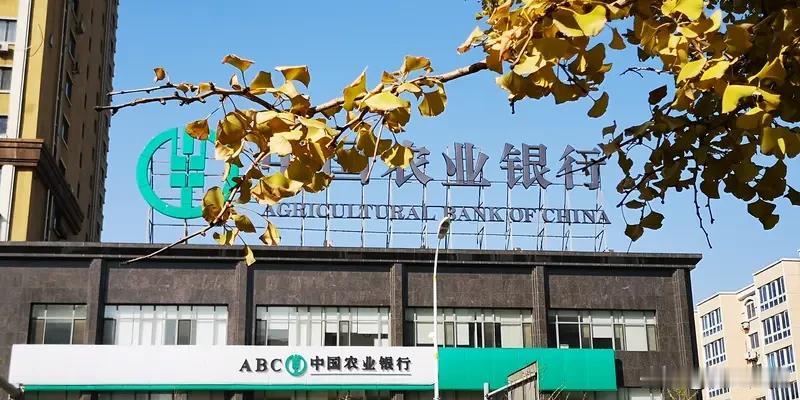 28年农行工龄，辞职那年46岁。想当年，不顾领导和同事们的挽留，扑通一下跳进未知