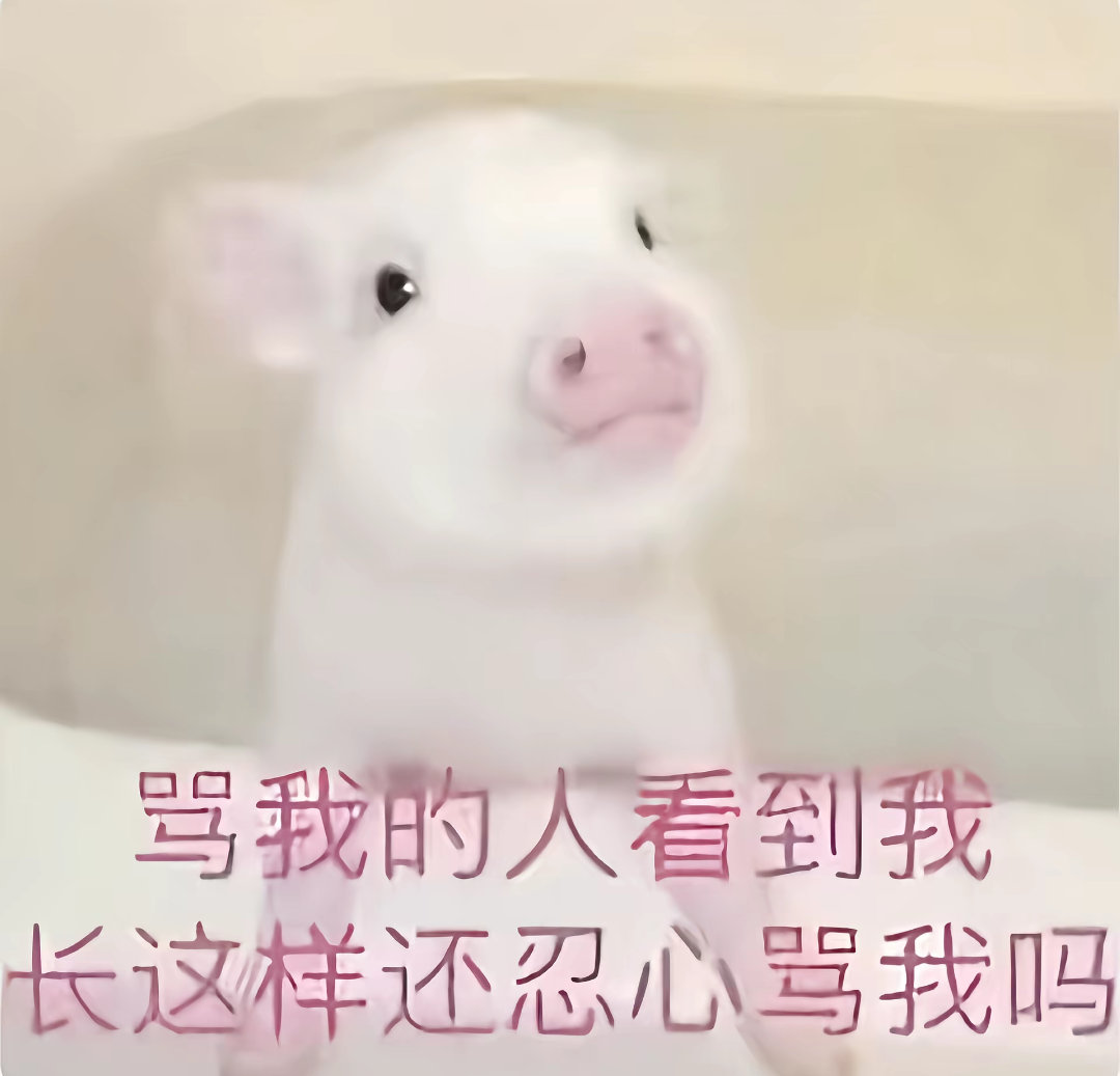 誓痛証 哈喽 