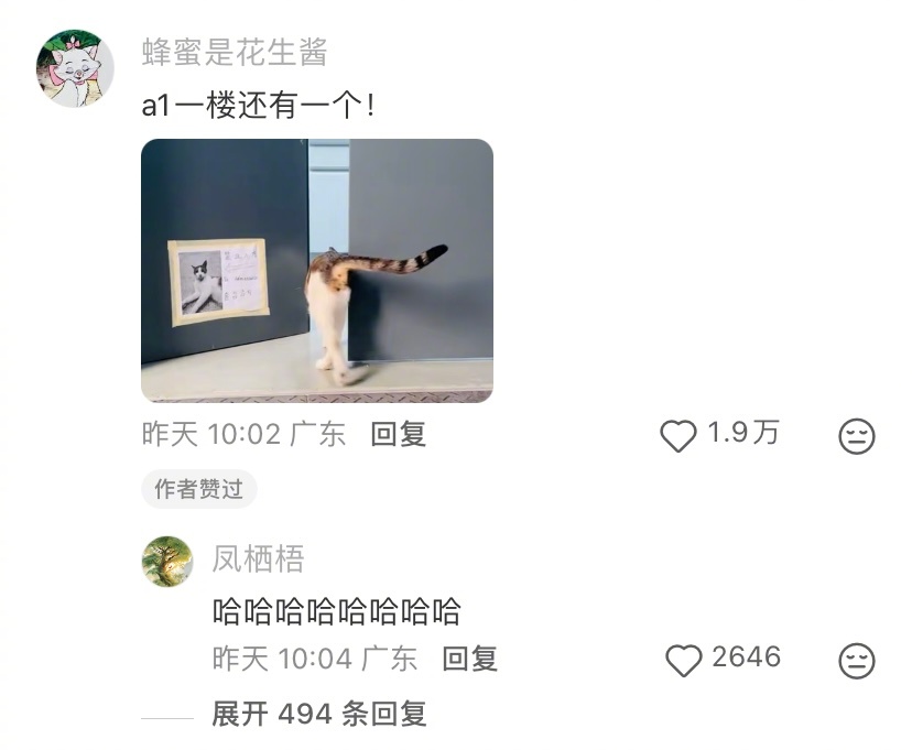 万一这大学是小猫自己考上的呢大学生喜爱内容共创计划毕业季