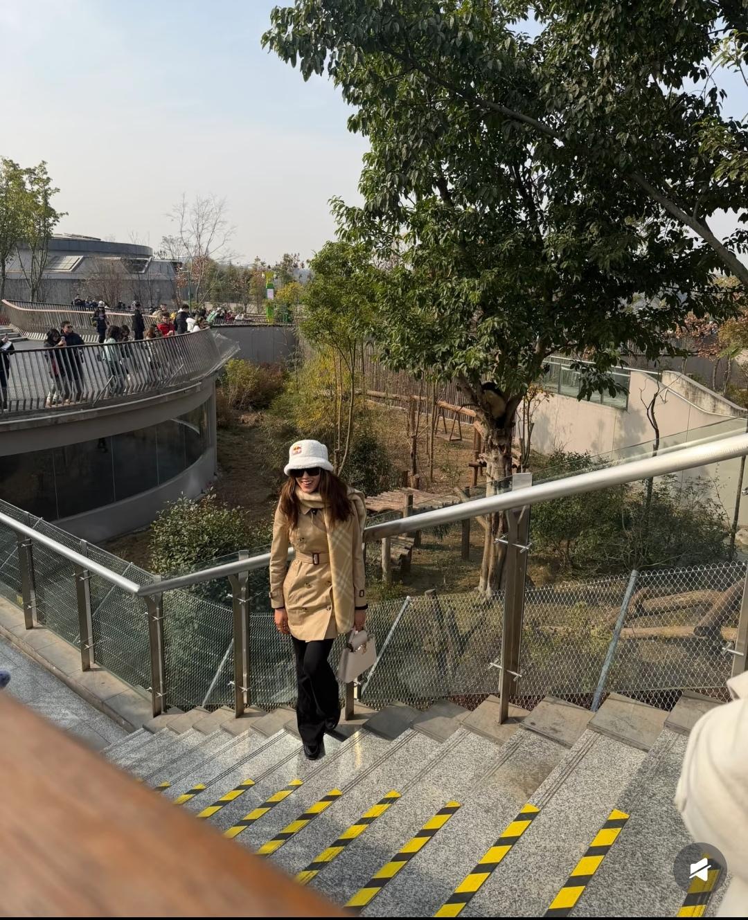 这两天，谷爱凌去四川了，主要是去参观成都大熊猫繁育基地去了，很可爱。

谷爱凌穿