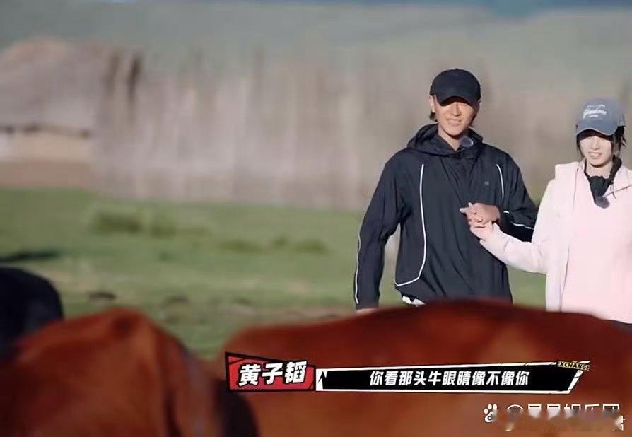黄子韬徐艺洋 生理性喜欢徐艺洋终于要到黄子韬身边，黄子韬接到电话就合不拢嘴了，幸