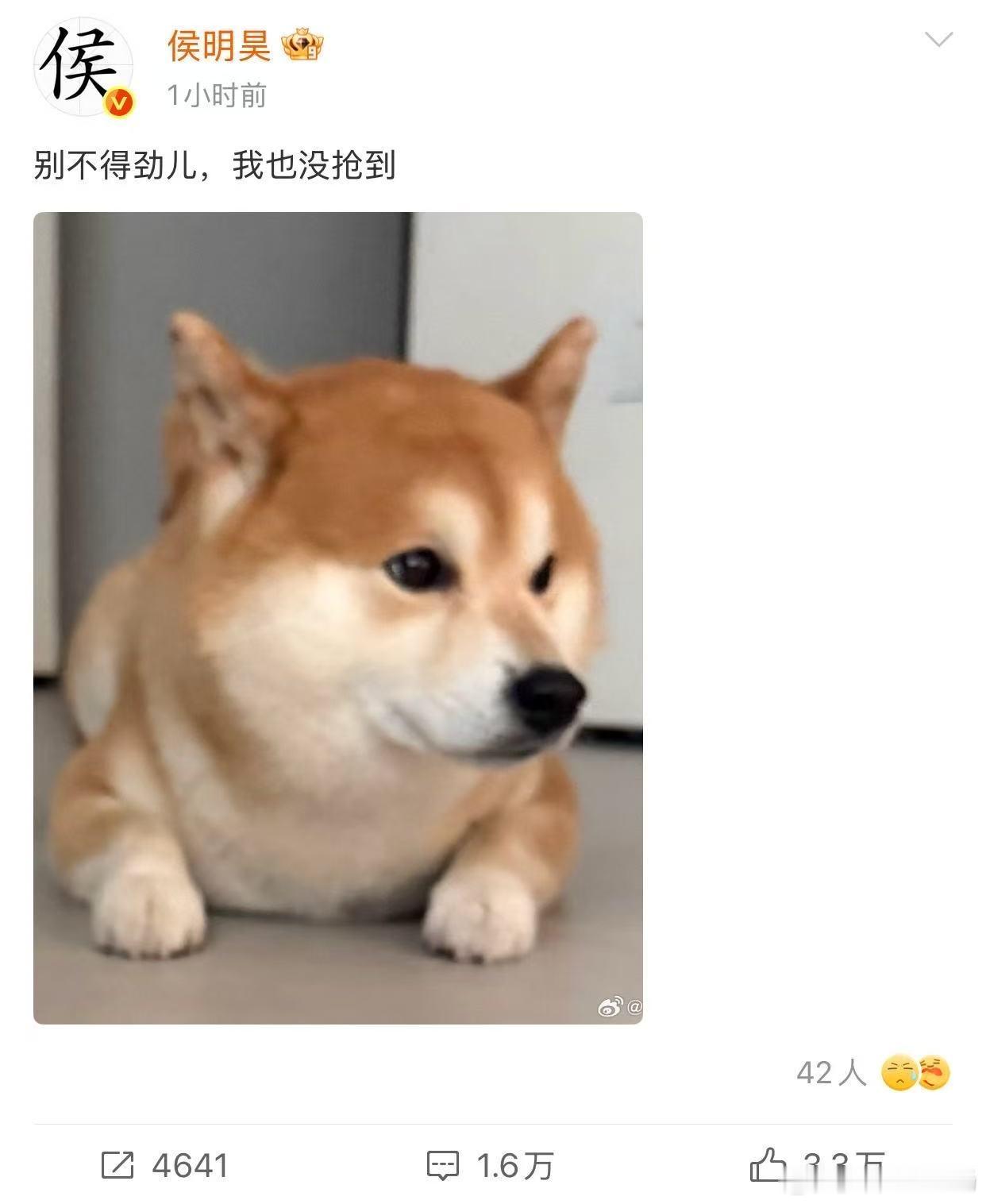 侯明昊没抢到自己演唱会门票侯明昊别不得劲儿我也没抢到没有抢到侯明昊属于我们的巡回