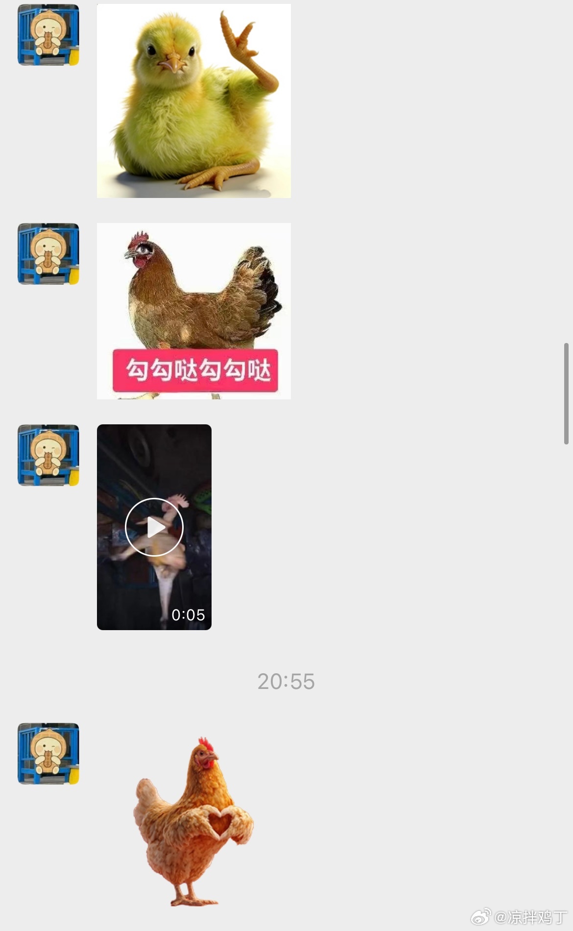 情绪价值到位了…