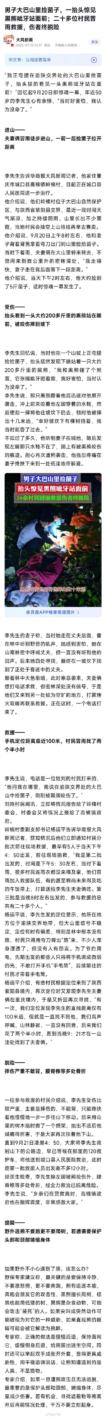 男子捡菌子一抬头见黑熊龇牙站面前头号创作者激励计划真是不幸中的万幸，人员虽然受伤