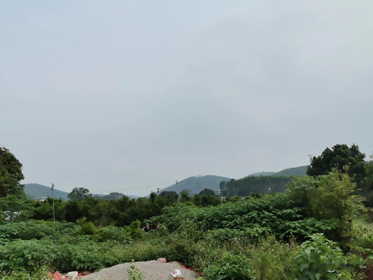 雨后的乡下，空气清新得像被洗过一样。泥土混着青草的味道，风一吹，满是自然的甜香。