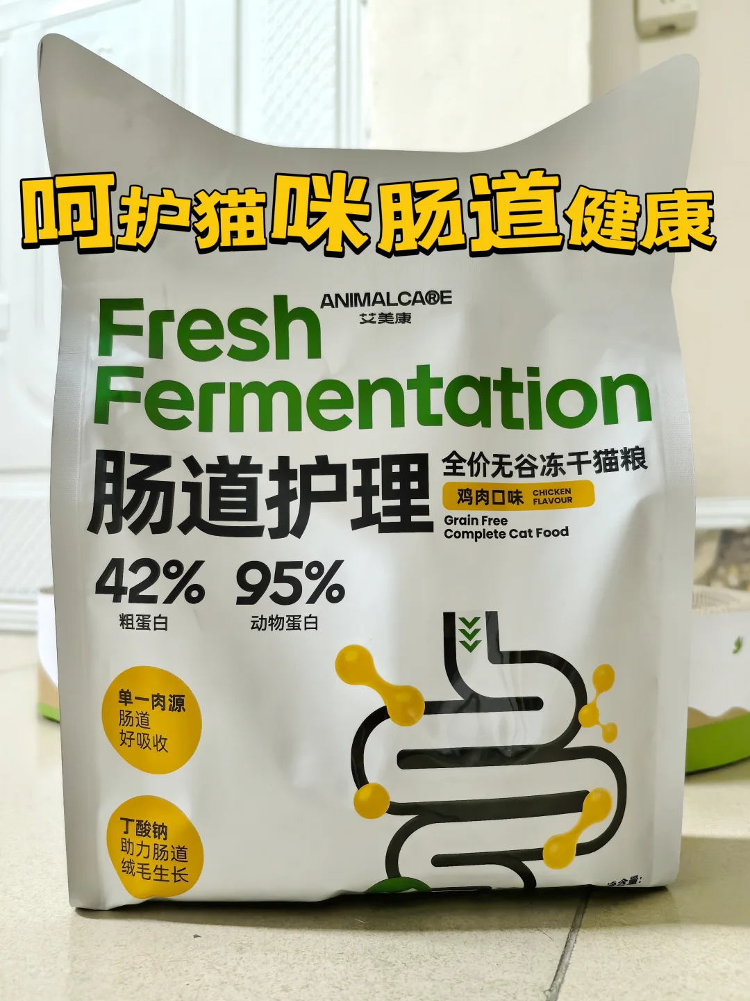 猫咪软便怎么办？一招教你改善肠胃健康。