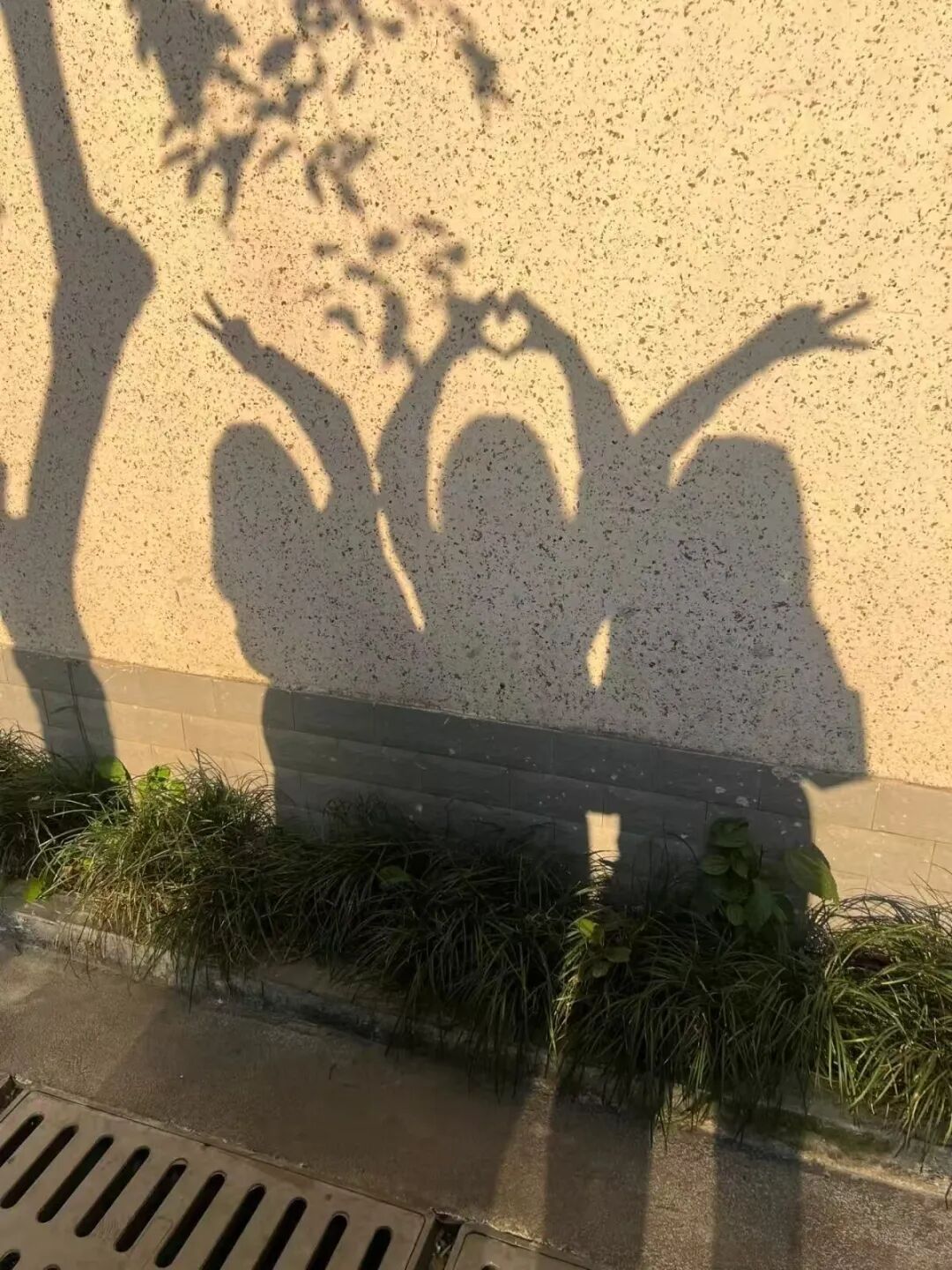 𝐌𝐞𝐞𝐭☀️“成年人不缺想念缺的是见面” ​​​