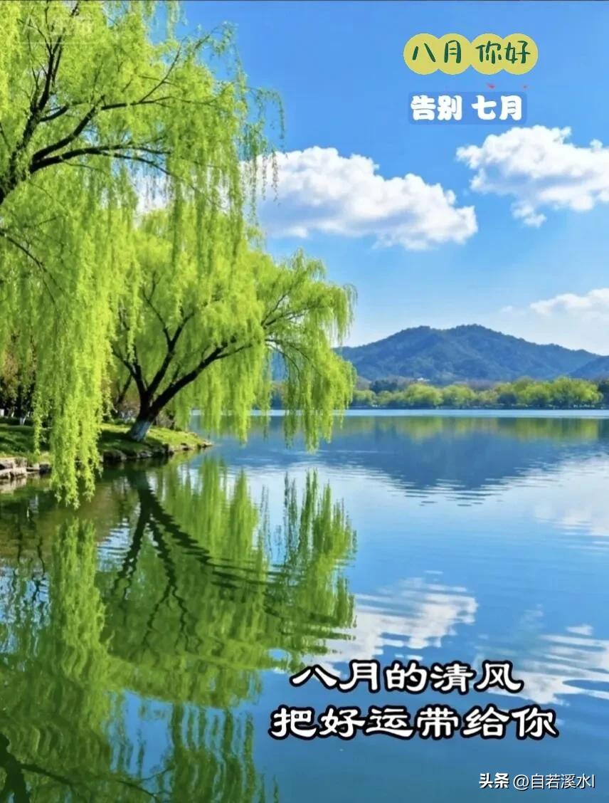早安！心向阳光，日子清透，好事正在路上。
