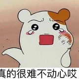 猴球热谈科技