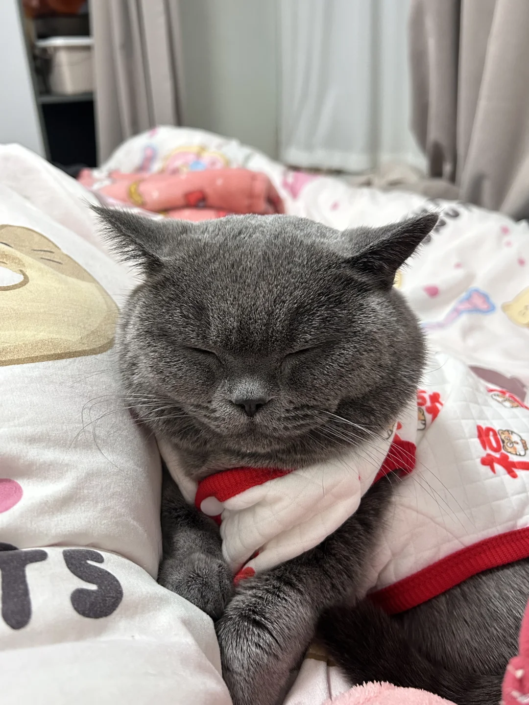 我爸说我的猫每天都会陪他睡觉……