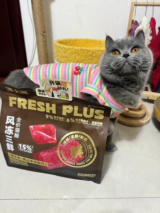 挑食猫の真香现场！