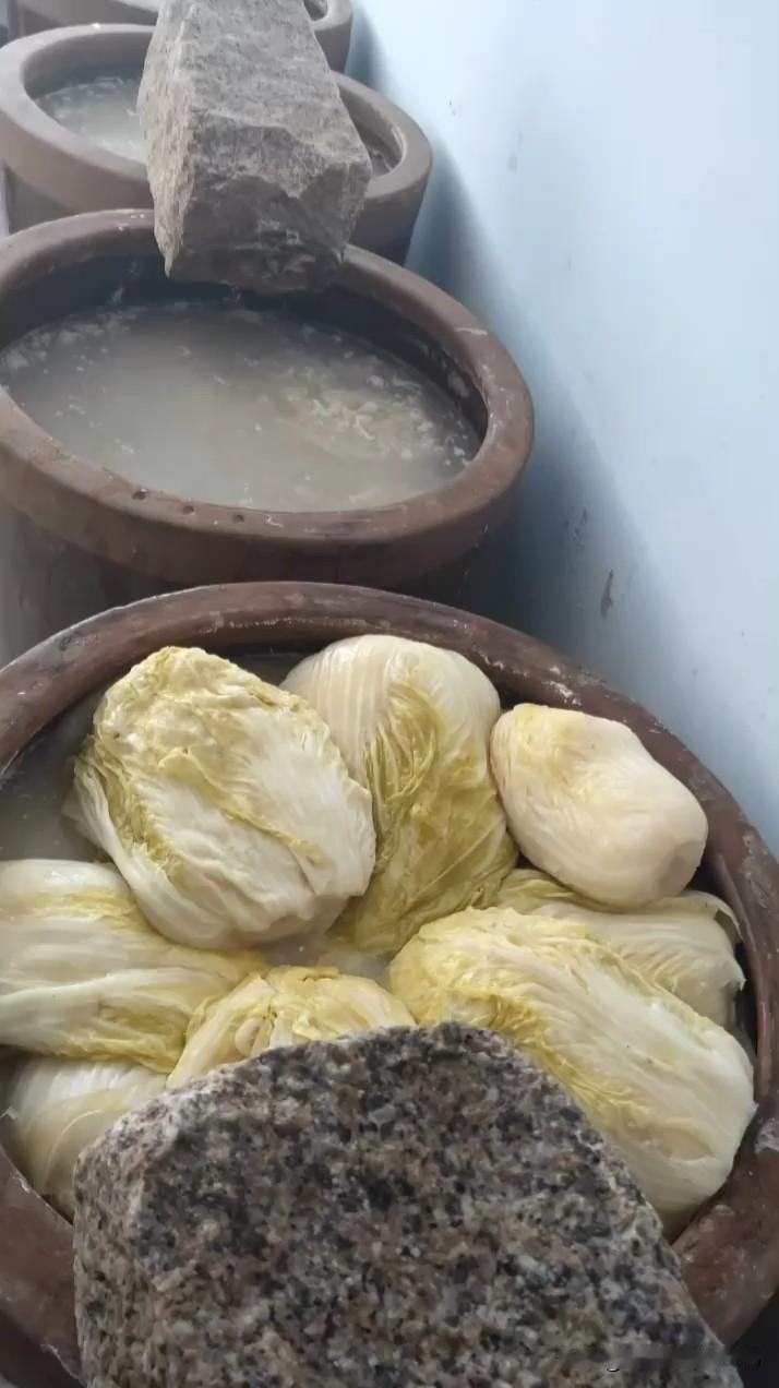 天啊，做梦都没想到，就因为一个酸菜缸，就因为一条评论，我差点儿被全网攻击➕批斗，