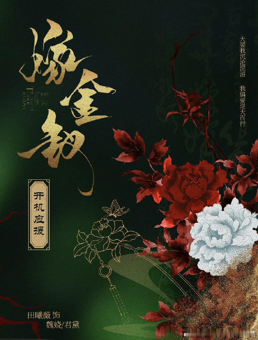 田曦薇嫁金钗开机应援 田曦薇祝田曦薇新剧开机顺利！ 