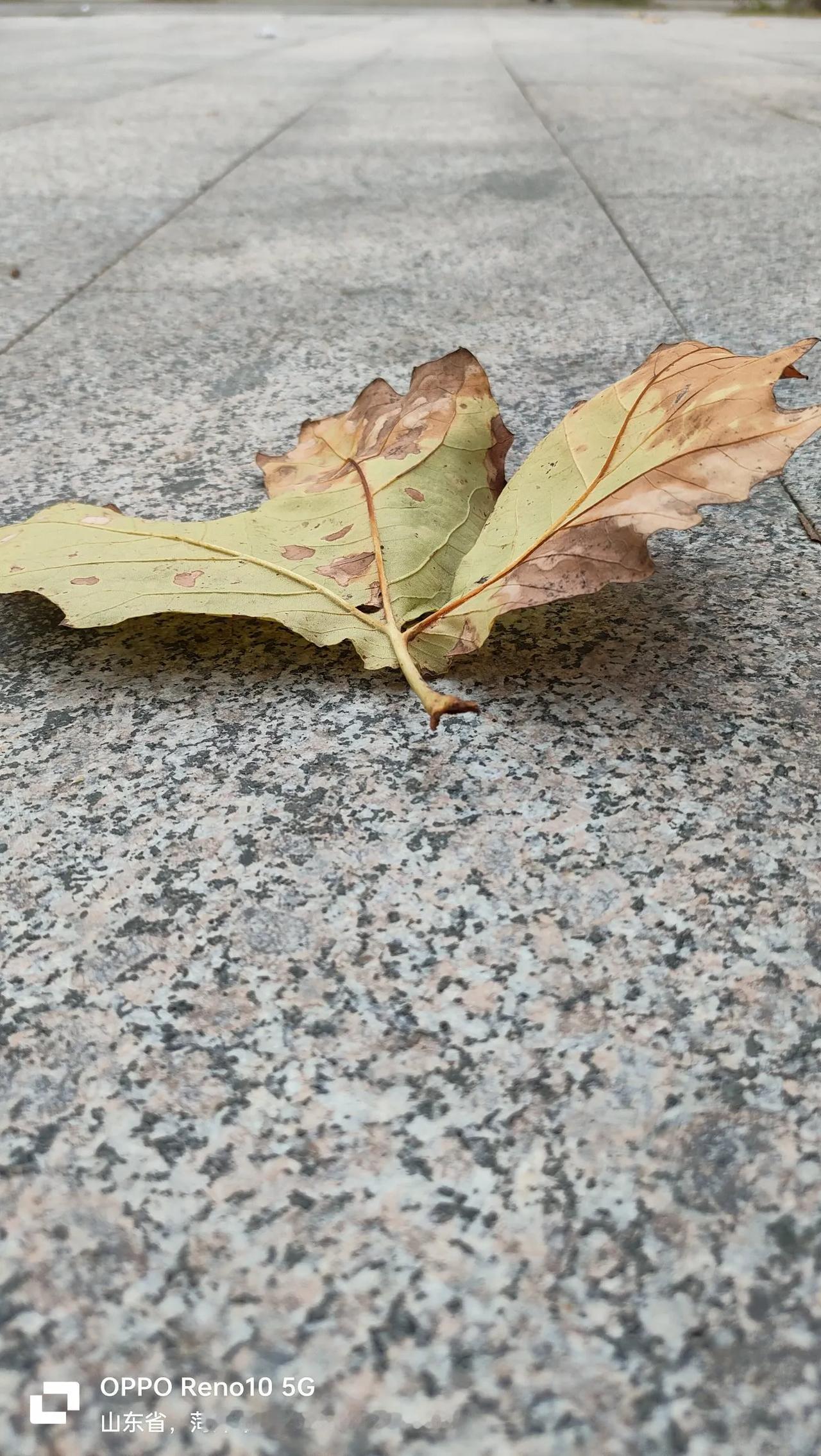 不当高中老师了，发现高中老师越来越轻松了。
不当高中老师了，发现还有之前没退的一